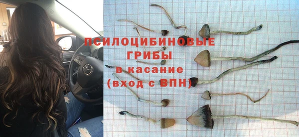 первитин Алексин