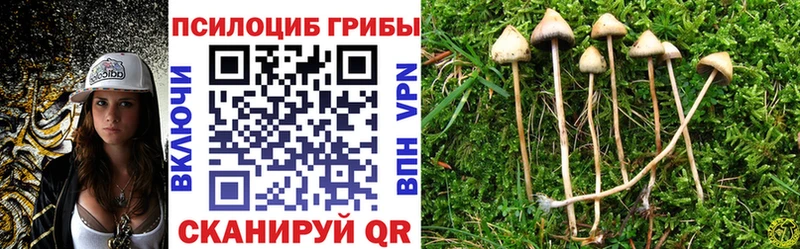 Галлюциногенные грибы Cubensis  Андреаполь 